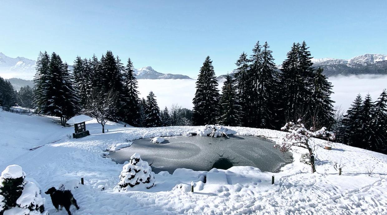 La Ferme Des Vonezins Hotel Thônes Buitenkant foto