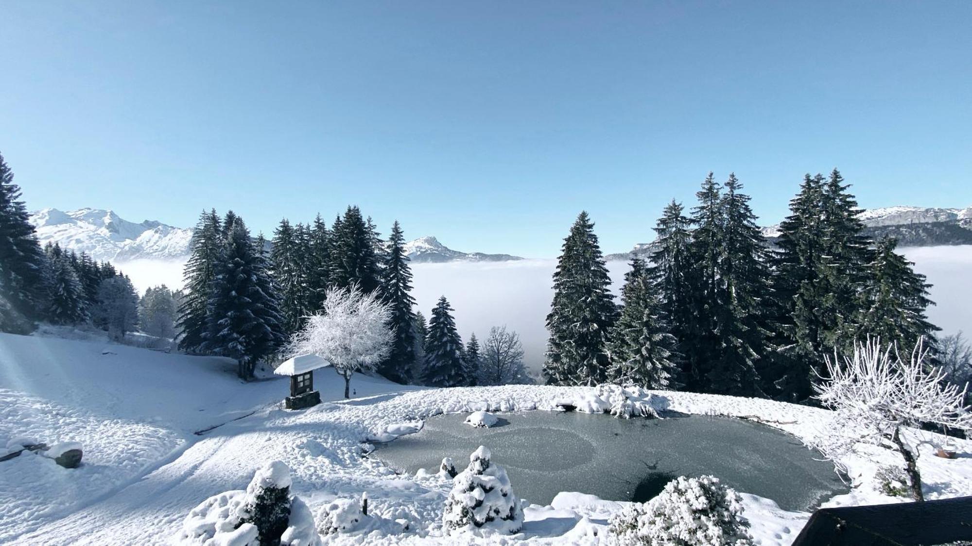 La Ferme Des Vonezins Hotel Thônes Buitenkant foto