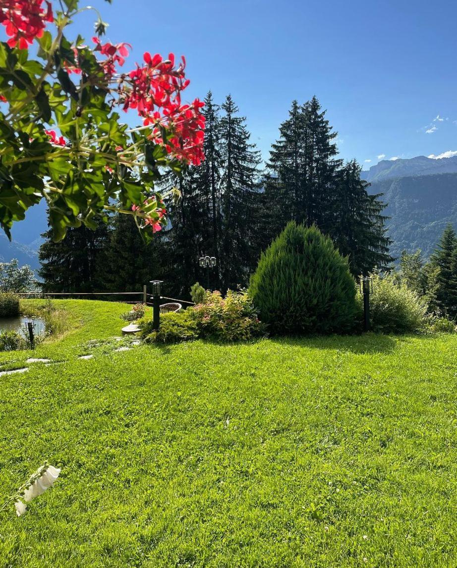 La Ferme Des Vonezins Hotel Thônes Buitenkant foto