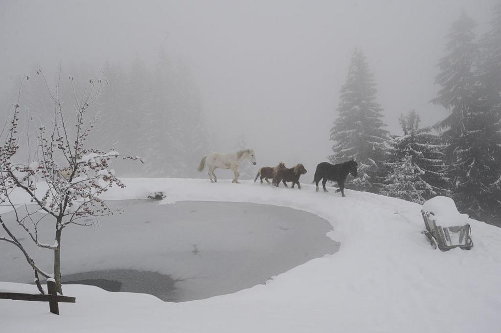 La Ferme Des Vonezins Hotel Thônes Buitenkant foto